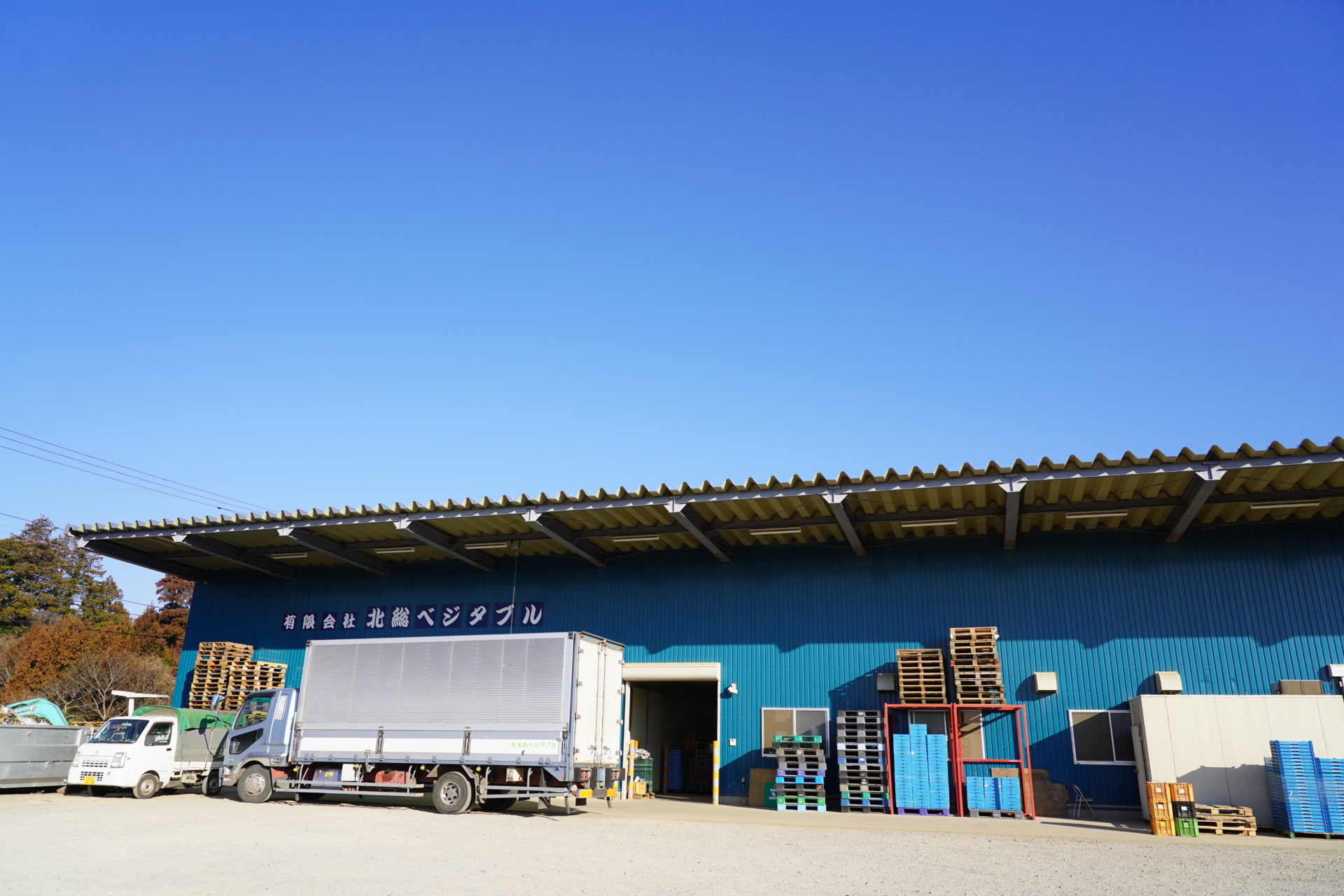 冷蔵倉庫で野菜の鮮度を保ち、出荷いたします。